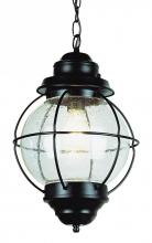 Trans Globe 69906 BK - 1 LT LRG HANGING-OUTDOOR-ONION